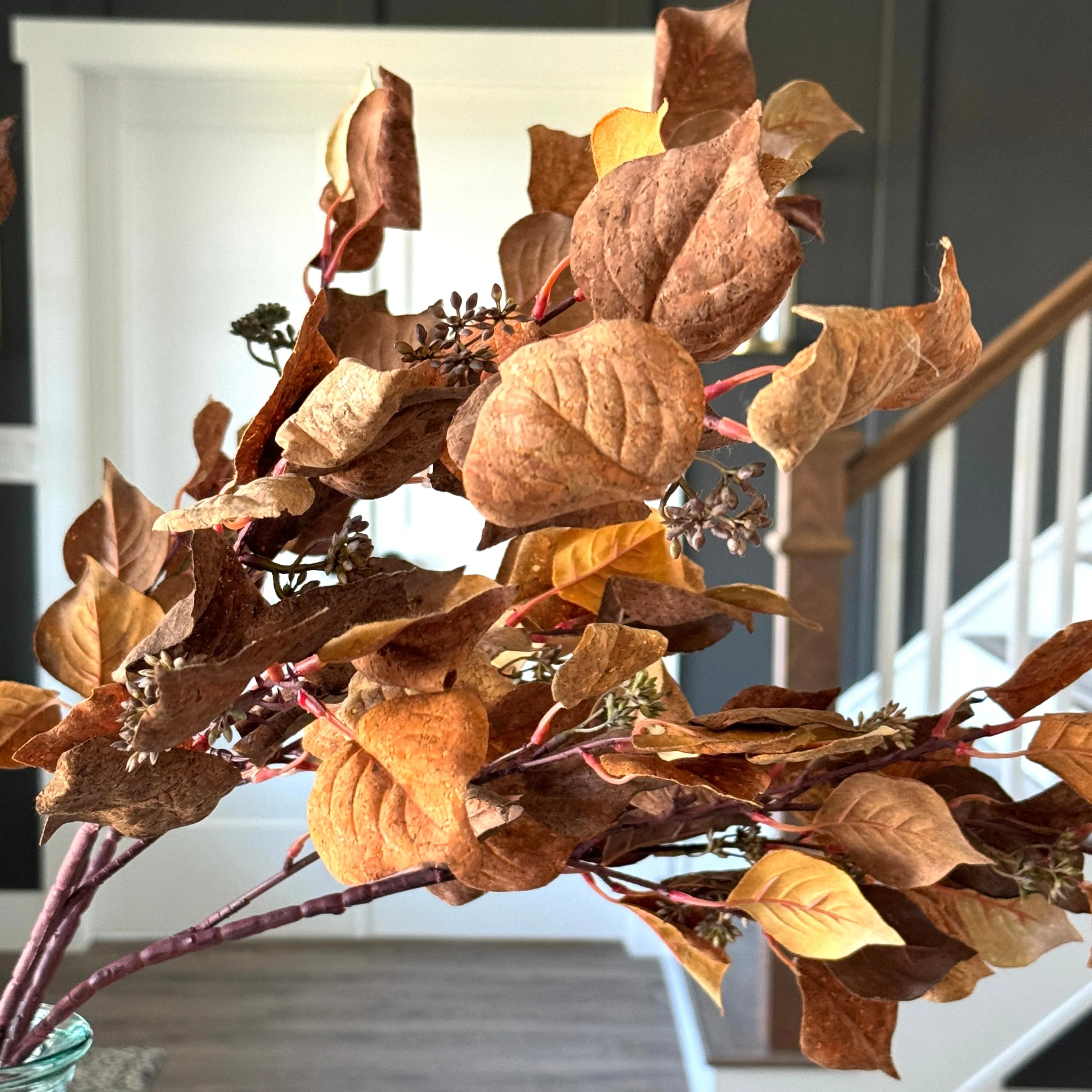 38” Cork Silver Dollar Eucalyptus- Mustard and Orange