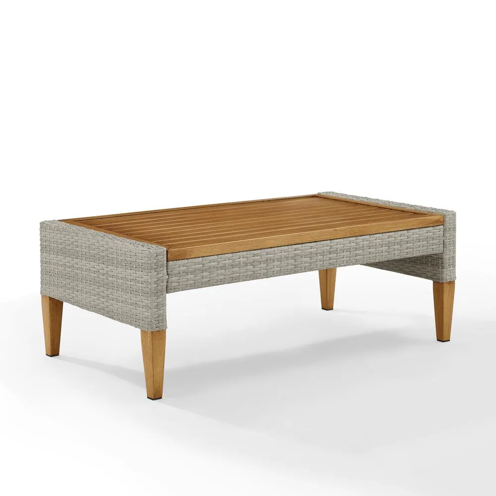 Biophilic Design Furniture Wicker Coffee Table Gray