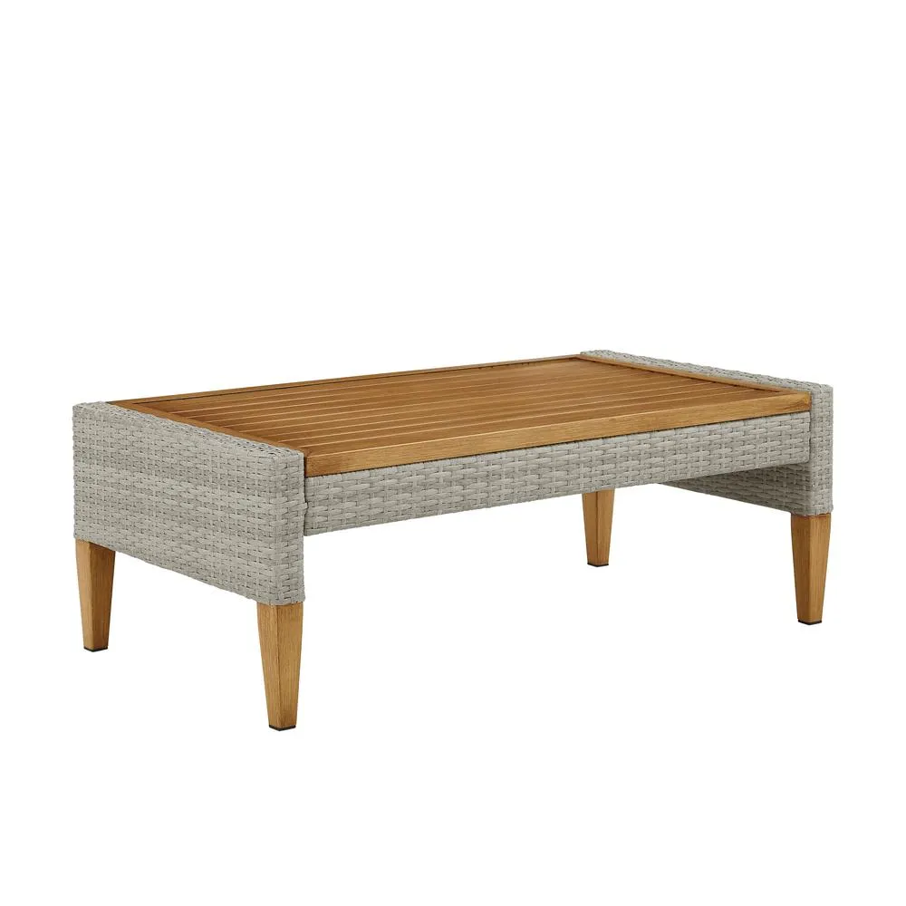 Biophilic Design Furniture Wicker Coffee Table Gray