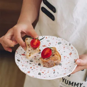 Terrazzo Dinner Plates