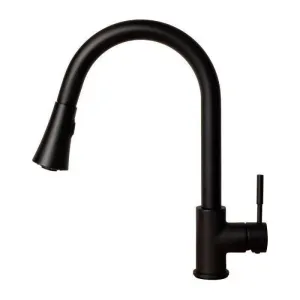 ZLINE Edison Kitchen Faucet, EDS-KF-MB