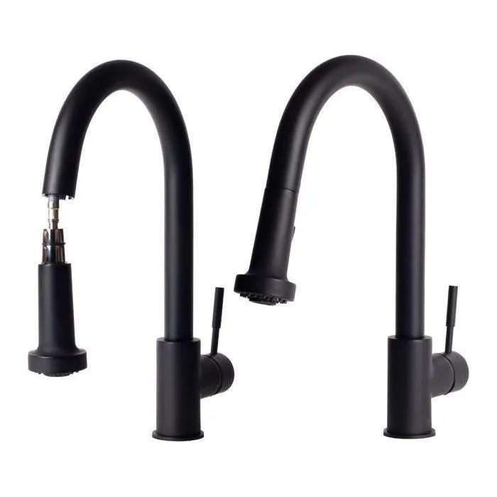 ZLINE Monet Kitchen Faucet, MON-KF-MB